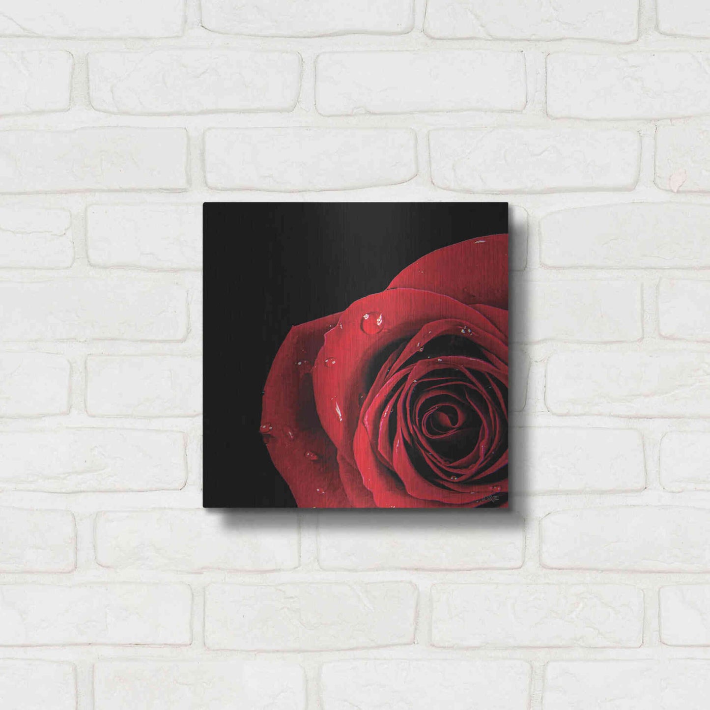Luxe Metal Art 'Pop of Red Rose' by Donnie Quillen, Metal Wall Art,12x12