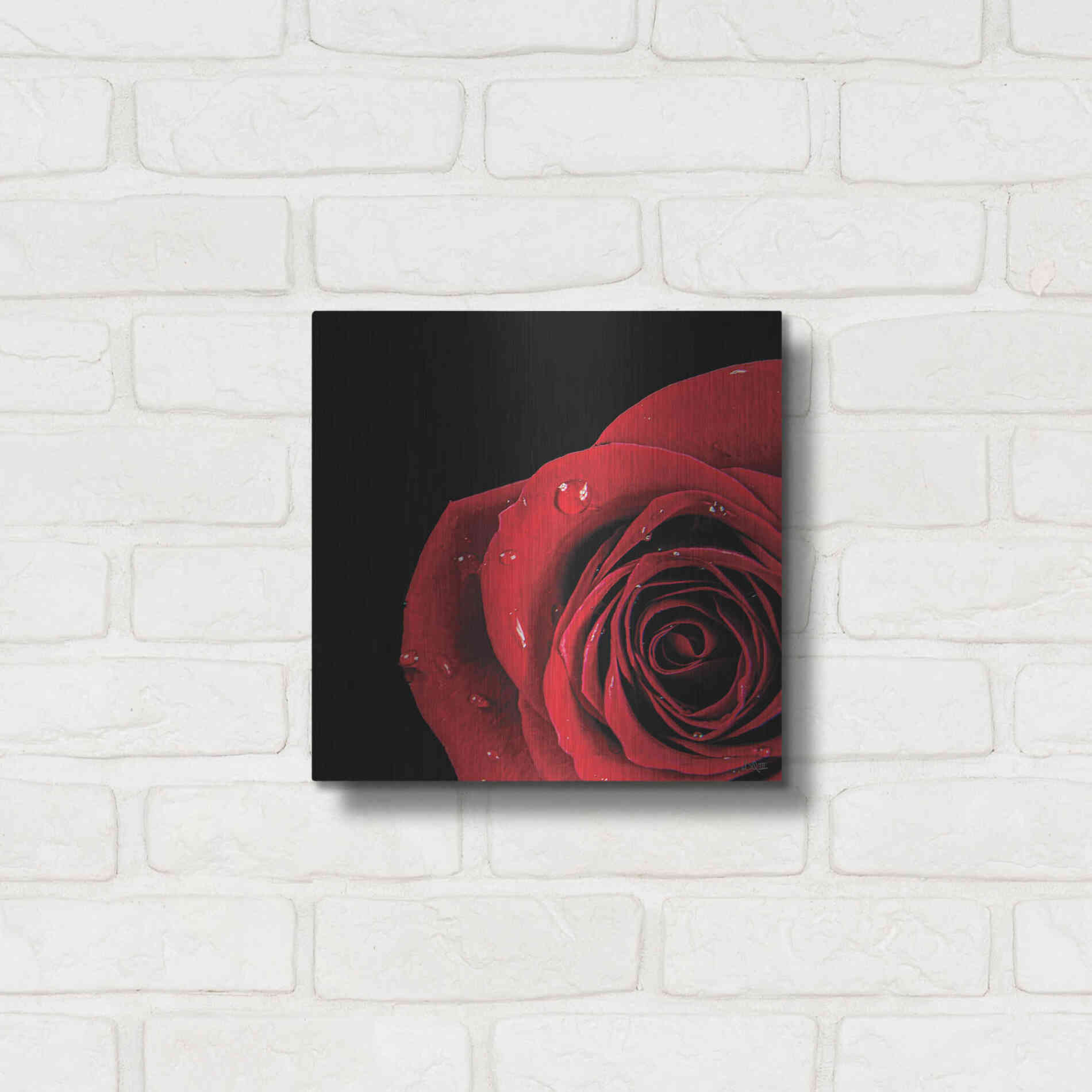 Luxe Metal Art 'Pop of Red Rose' by Donnie Quillen, Metal Wall Art,12x12