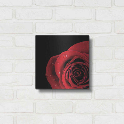 Luxe Metal Art 'Pop of Red Rose' by Donnie Quillen, Metal Wall Art,12x12