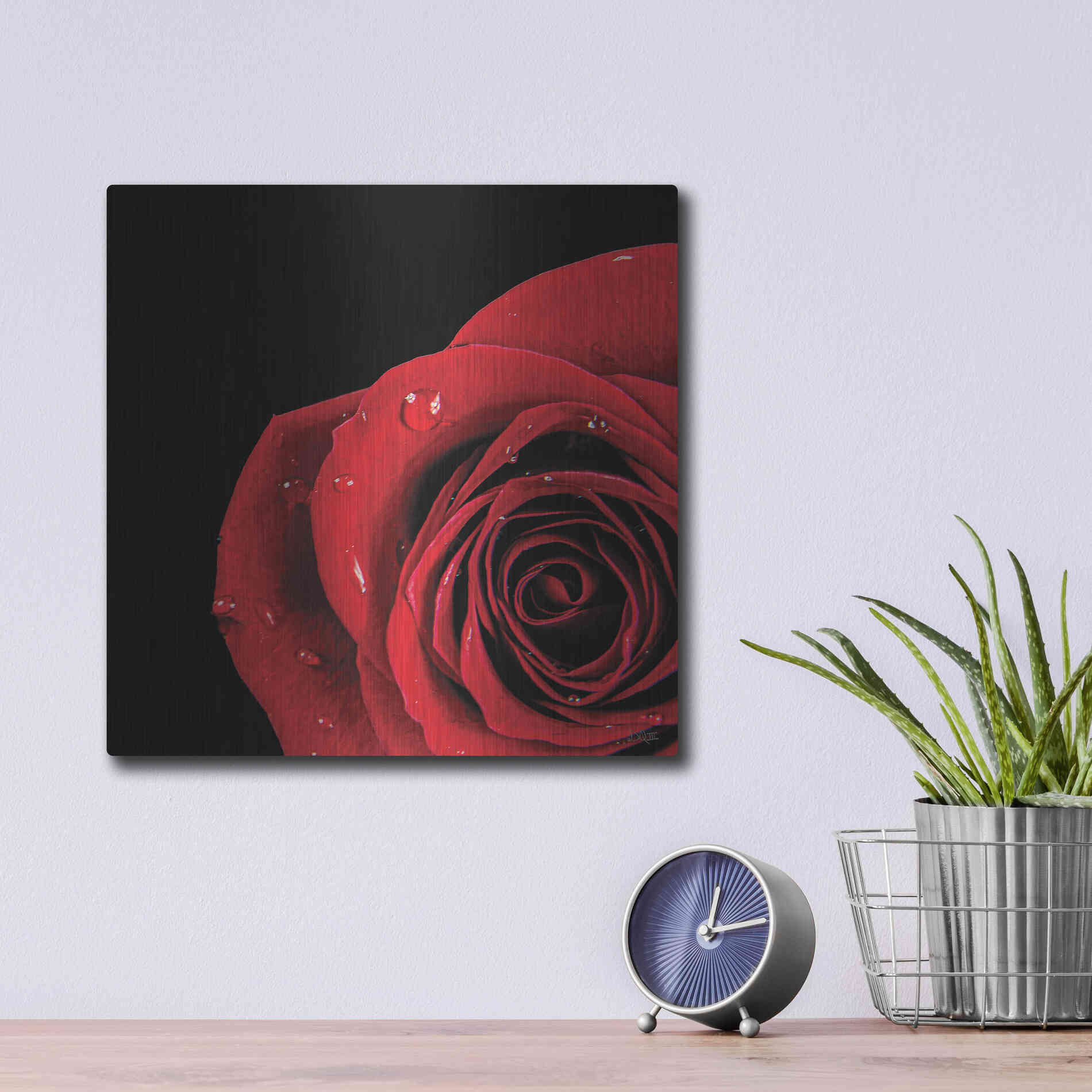 Luxe Metal Art 'Pop of Red Rose' by Donnie Quillen, Metal Wall Art,12x12