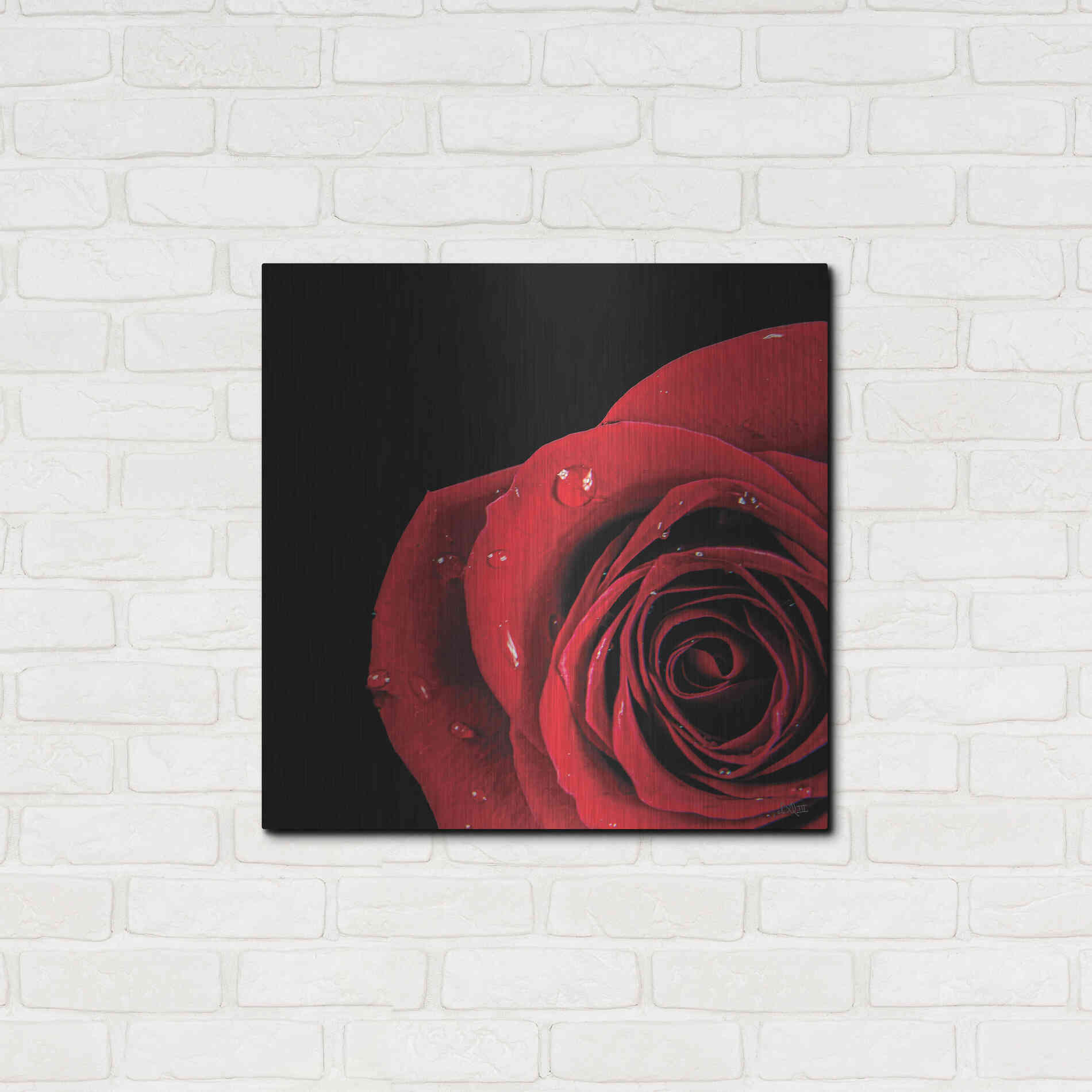 Luxe Metal Art 'Pop of Red Rose' by Donnie Quillen, Metal Wall Art,24x24