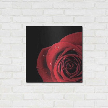 Luxe Metal Art 'Pop of Red Rose' by Donnie Quillen, Metal Wall Art,24x24