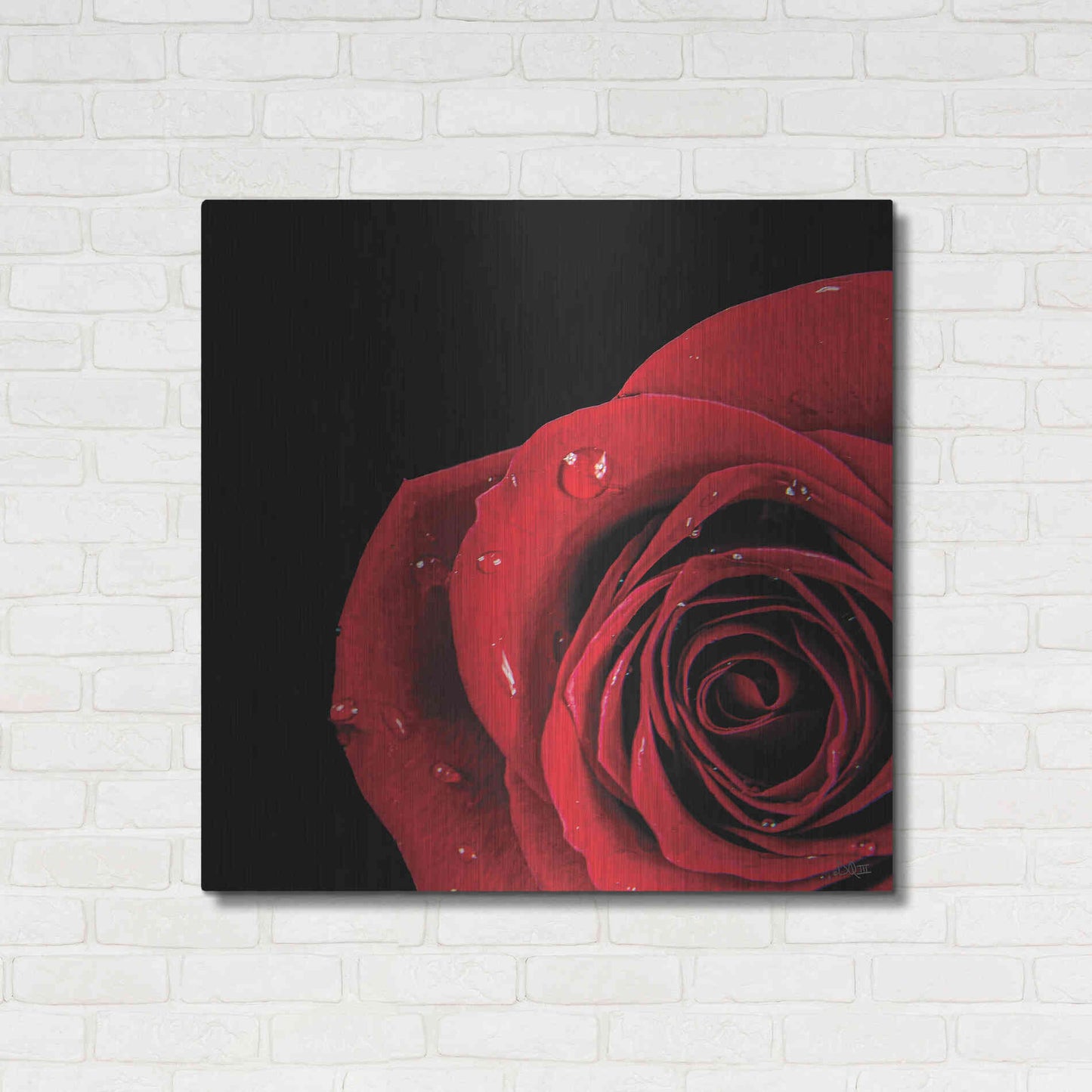 Luxe Metal Art 'Pop of Red Rose' by Donnie Quillen, Metal Wall Art,36x36