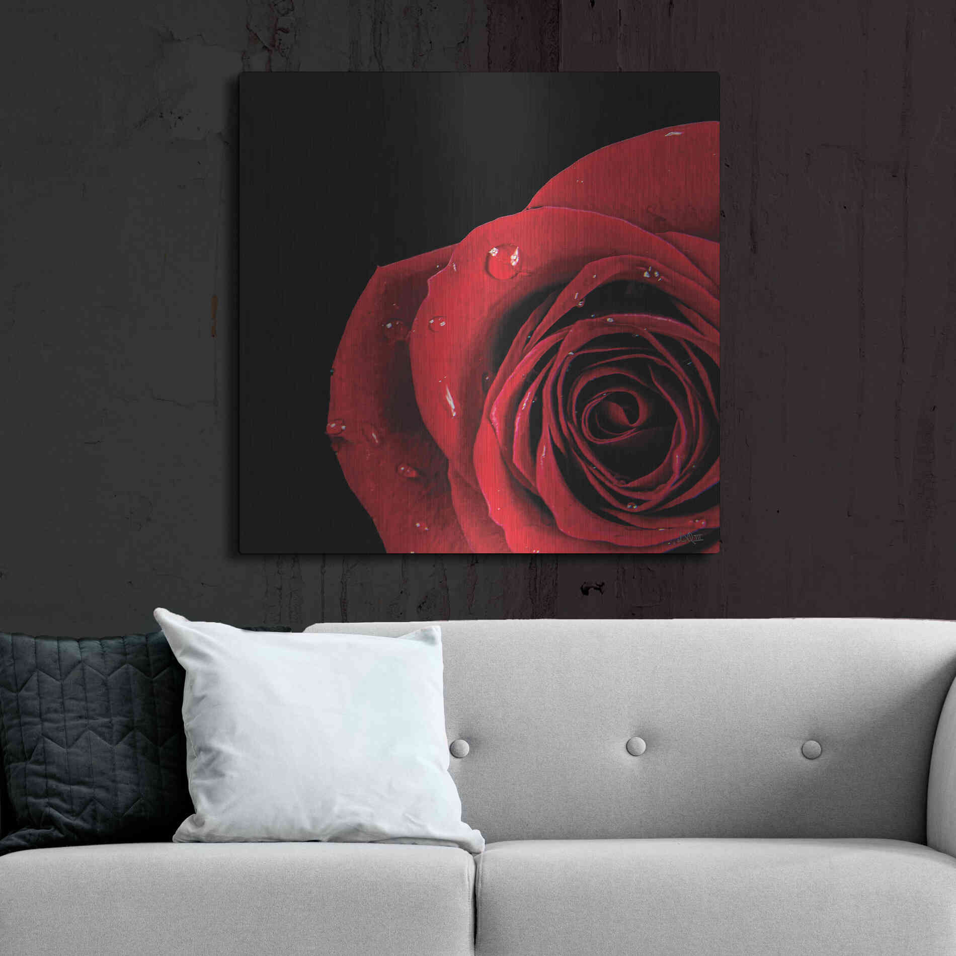 Luxe Metal Art 'Pop of Red Rose' by Donnie Quillen, Metal Wall Art,36x36