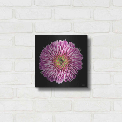 Luxe Metal Art 'Purple Gradient' by Donnie Quillen, Metal Wall Art,12x12