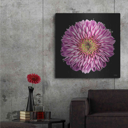 Luxe Metal Art 'Purple Gradient' by Donnie Quillen, Metal Wall Art,36x36