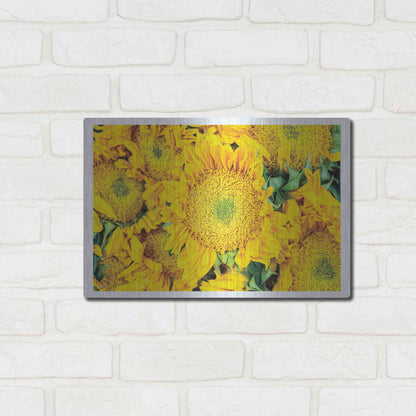 Luxe Metal Art 'Fall Feels I' by Donnie Quillen, Metal Wall Art,16x12