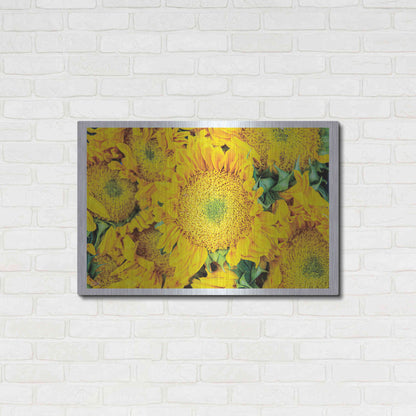 Luxe Metal Art 'Fall Feels I' by Donnie Quillen, Metal Wall Art,36x24