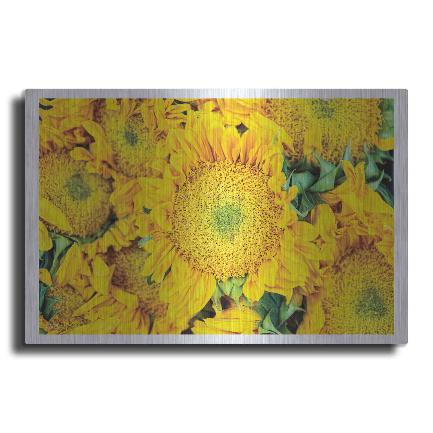 Luxe Metal Art 'Fall Feels I' by Donnie Quillen, Metal Wall Art