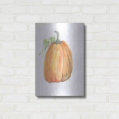 Luxe Metal Art 'Plump Pumpkin' by Jessica Mingo, Metal Wall Art,16x24