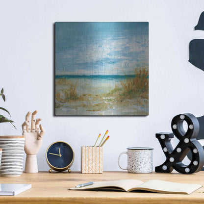 Luxe Metal Art 'Sea Breeze' by Kamdon Kreations, Metal Wall Art,12x12