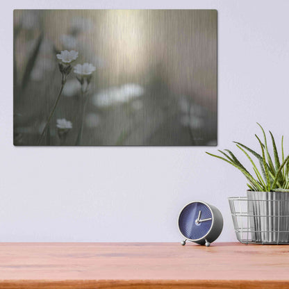 Luxe Metal Art 'Spring Into Life' by Lori Deiter, Metal Wall Art,16x12