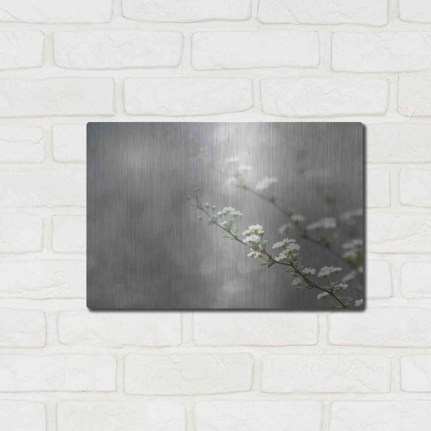 Luxe Metal Art 'Floral Dreams' by Lori Deiter, Metal Wall Art,16x12