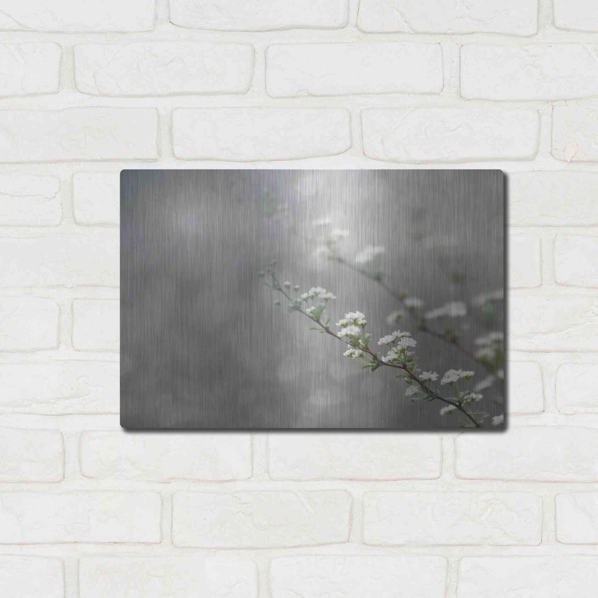 Luxe Metal Art 'Floral Dreams' by Lori Deiter, Metal Wall Art,16x12