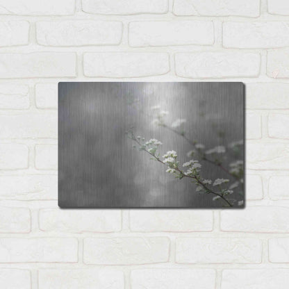 Luxe Metal Art 'Floral Dreams' by Lori Deiter, Metal Wall Art,16x12