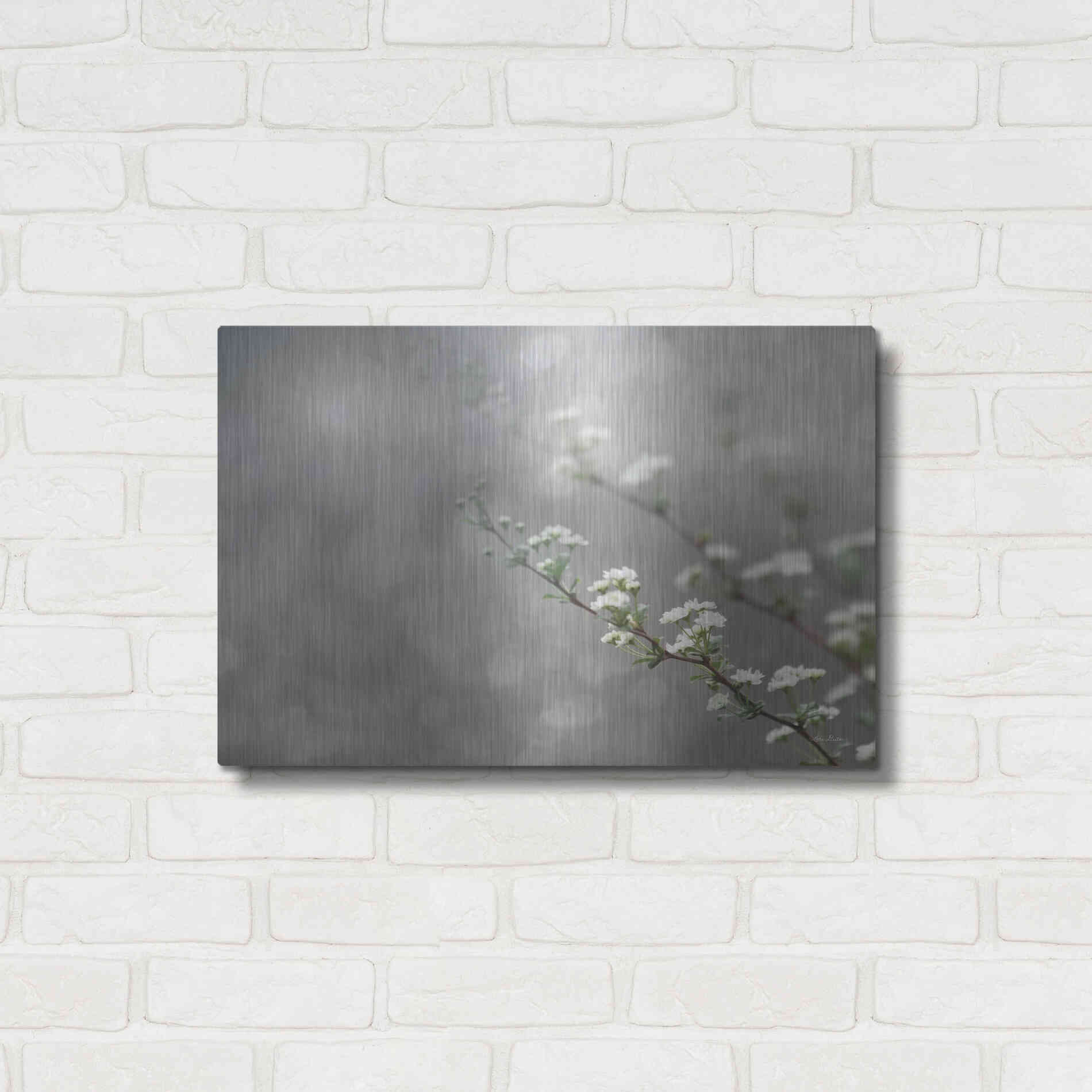 Luxe Metal Art 'Floral Dreams' by Lori Deiter, Metal Wall Art,24x16