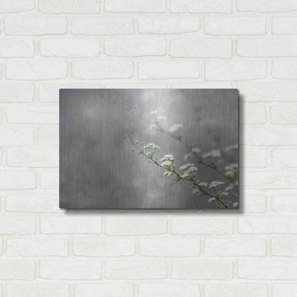 Luxe Metal Art 'Floral Dreams' by Lori Deiter, Metal Wall Art,24x16