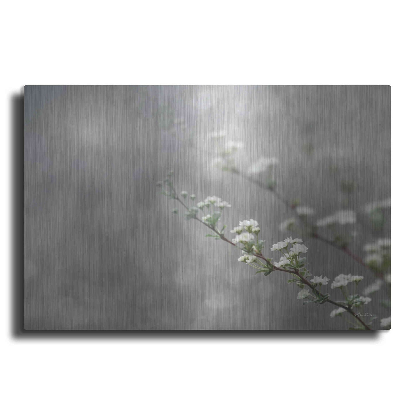 Luxe Metal Art 'Floral Dreams' by Lori Deiter, Metal Wall Art