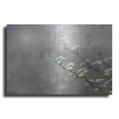 Luxe Metal Art 'Floral Dreams' by Lori Deiter, Metal Wall Art