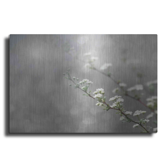 Luxe Metal Art 'Floral Dreams' by Lori Deiter, Metal Wall Art