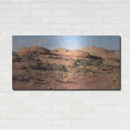 Luxe Metal Art 'Moab Sand Flats I' by Lori Deiter, Metal Wall Art,48x24