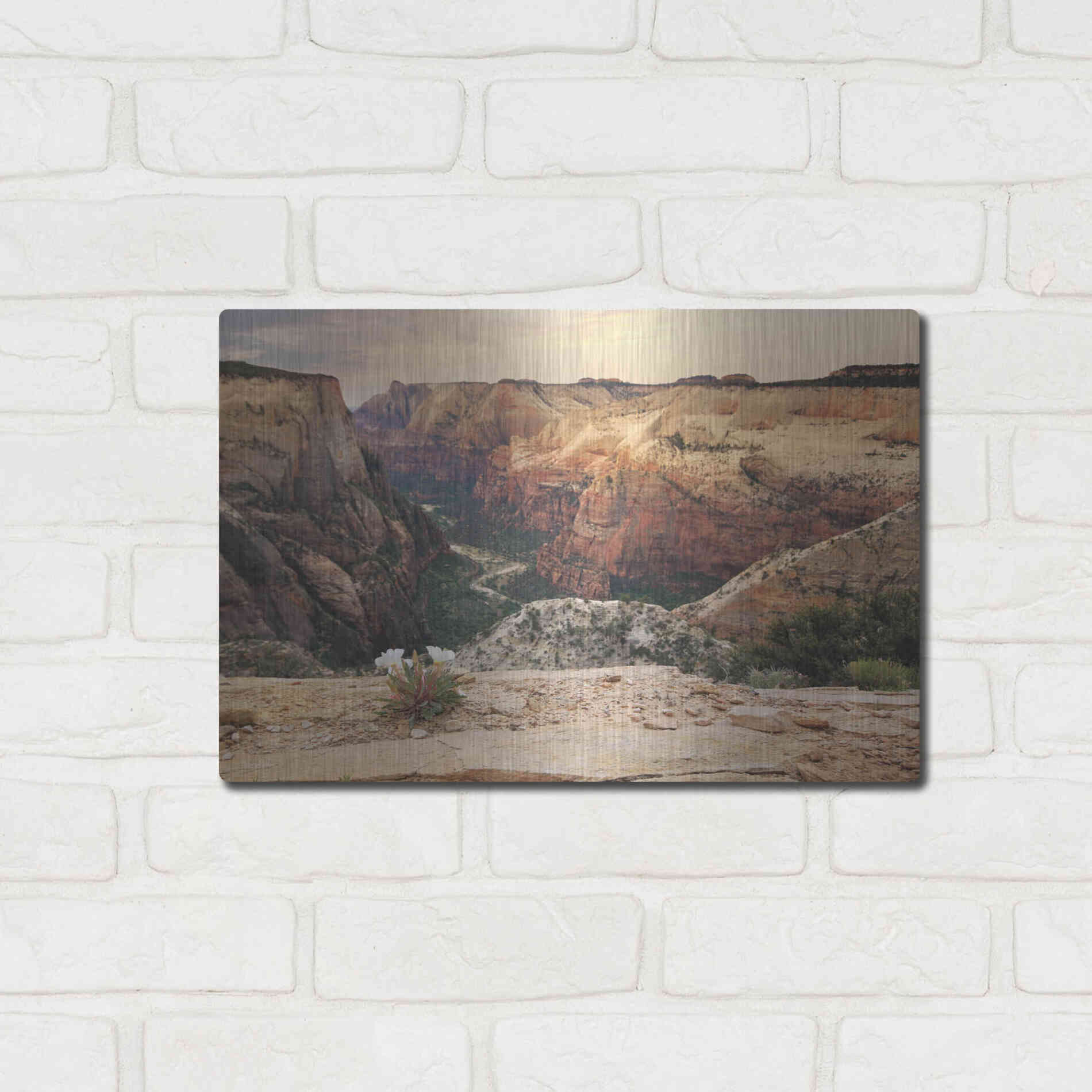 Luxe Metal Art 'Zion Desert Life' by Lori Deiter, Metal Wall Art,16x12