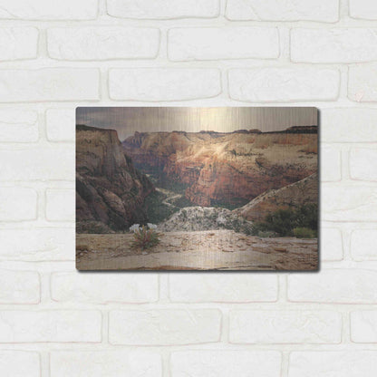 Luxe Metal Art 'Zion Desert Life' by Lori Deiter, Metal Wall Art,16x12