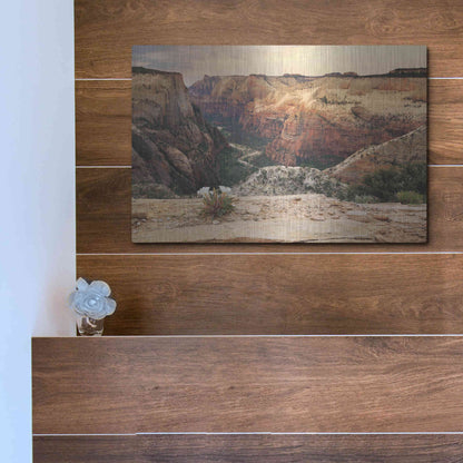 Luxe Metal Art 'Zion Desert Life' by Lori Deiter, Metal Wall Art,16x12