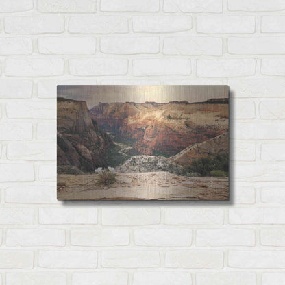 Luxe Metal Art 'Zion Desert Life' by Lori Deiter, Metal Wall Art,24x16