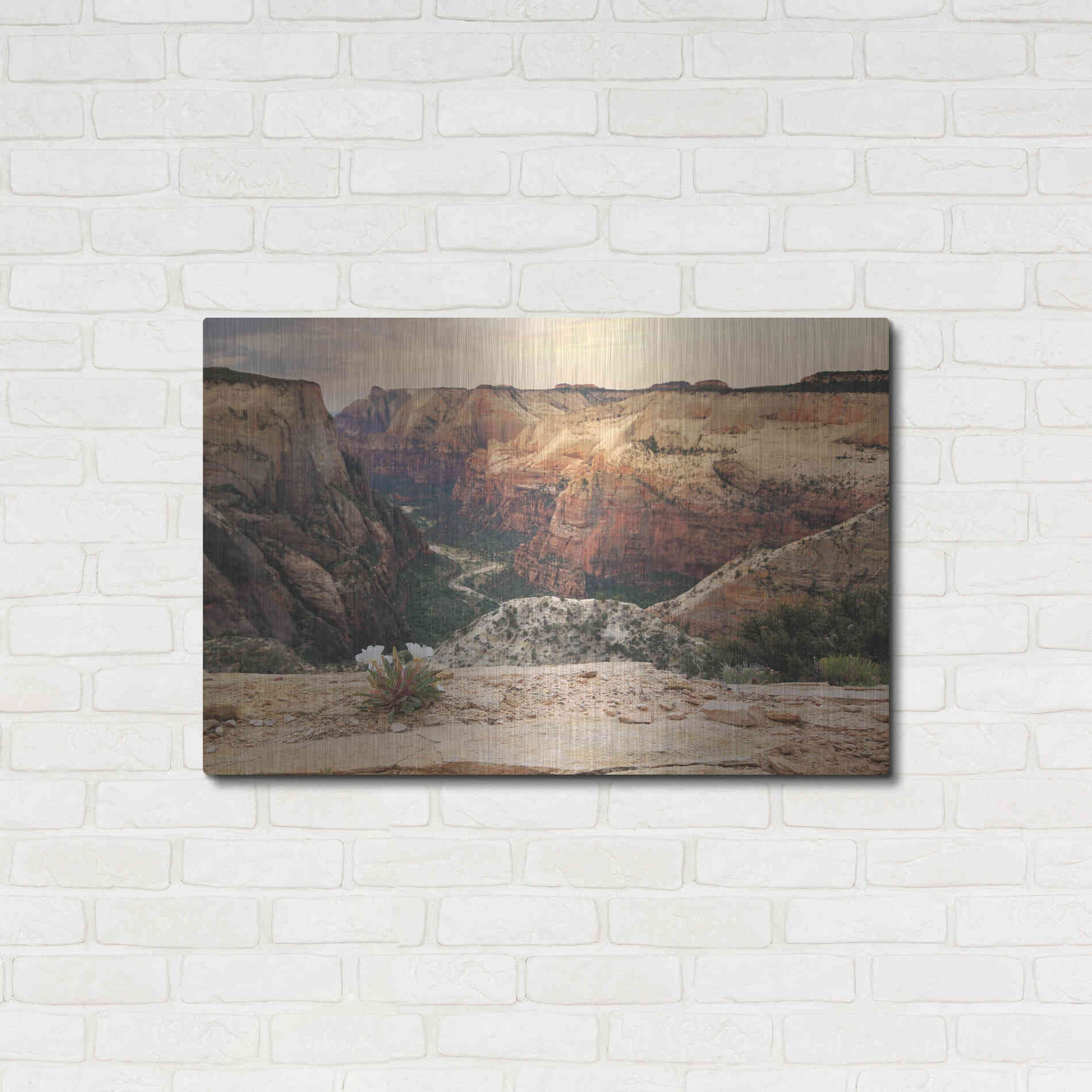 Luxe Metal Art 'Zion Desert Life' by Lori Deiter, Metal Wall Art,36x24