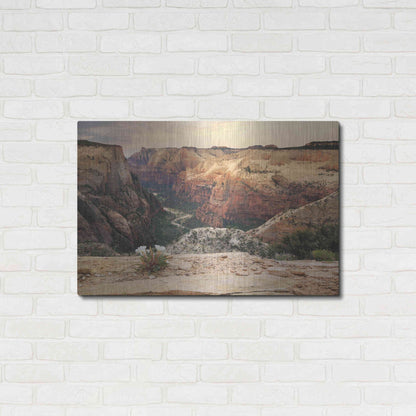 Luxe Metal Art 'Zion Desert Life' by Lori Deiter, Metal Wall Art,36x24