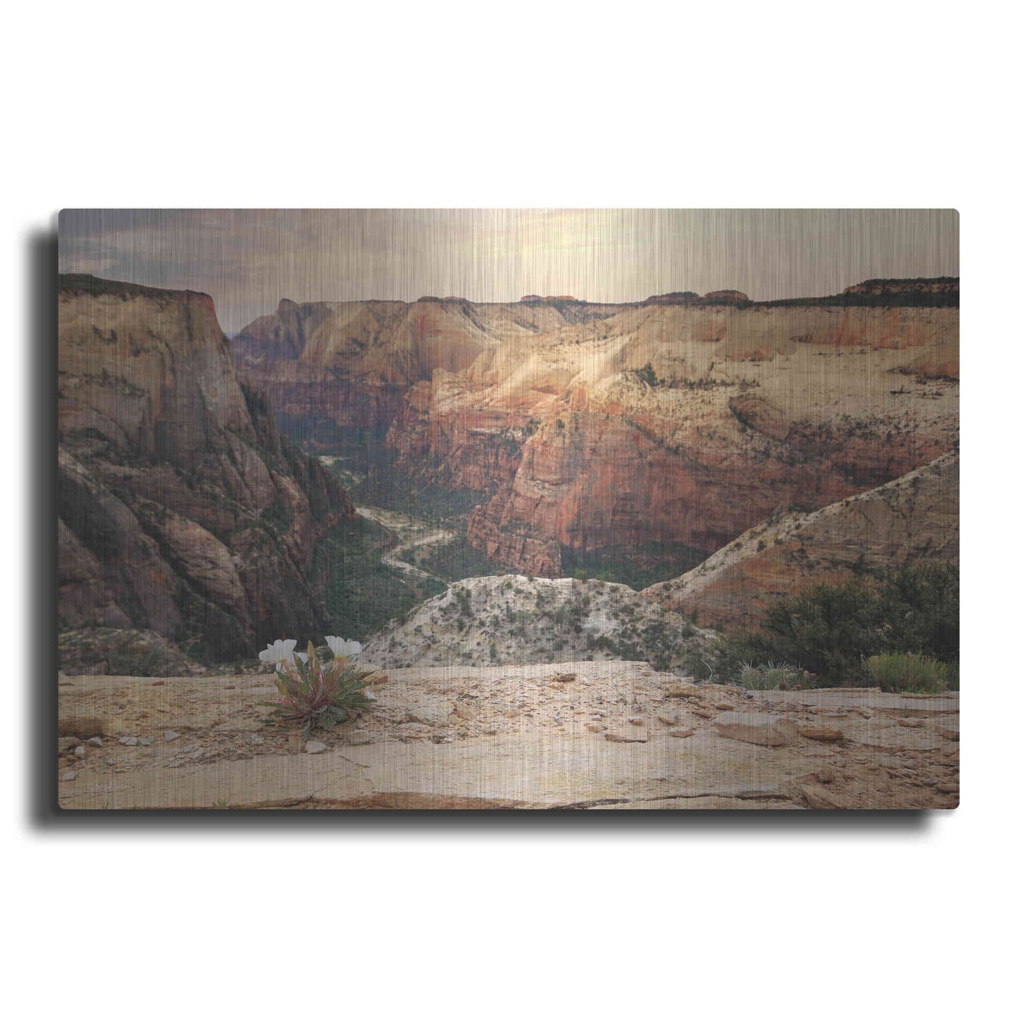 Luxe Metal Art 'Zion Desert Life' by Lori Deiter, Metal Wall Art