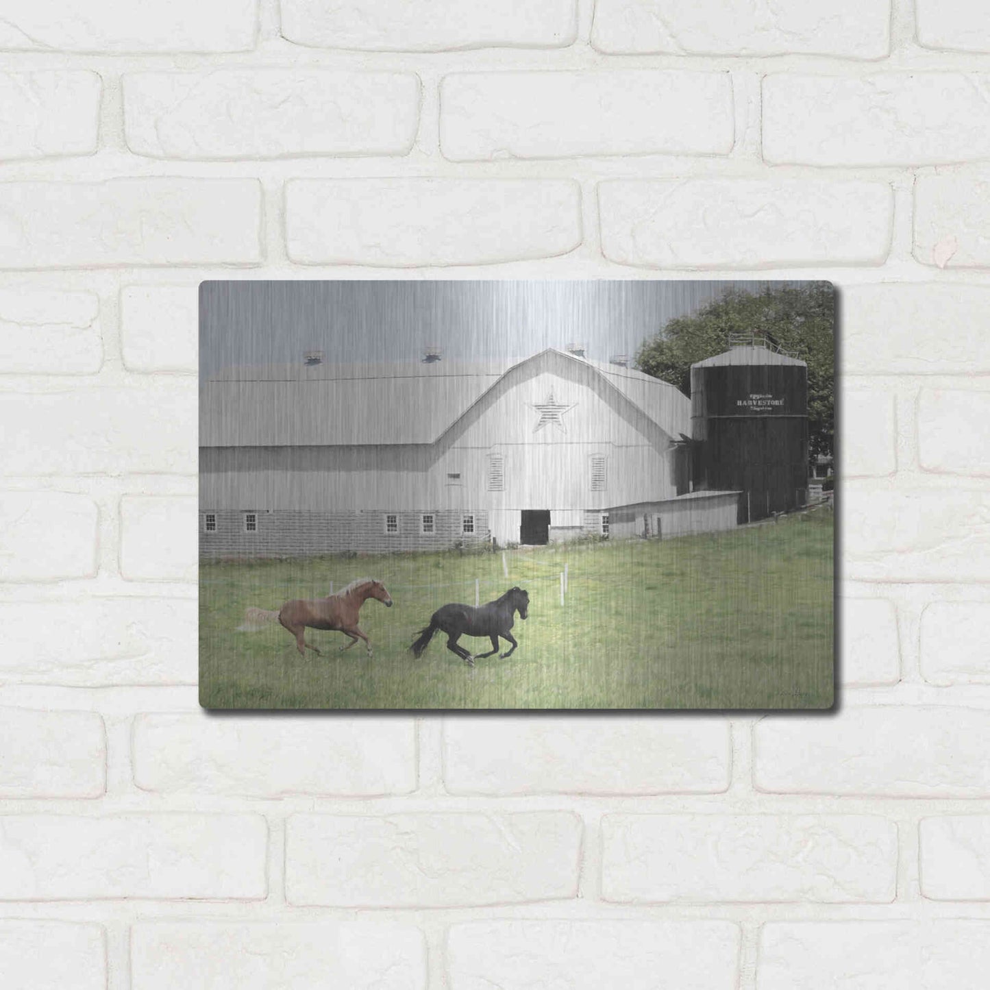 Luxe Metal Art 'Afternoon Run on the Farm' by Lori Deiter, Metal Wall Art,16x12