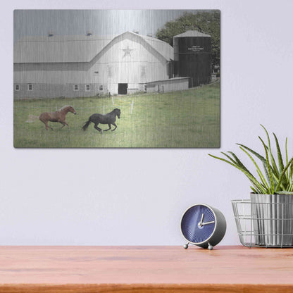 Luxe Metal Art 'Afternoon Run on the Farm' by Lori Deiter, Metal Wall Art,16x12