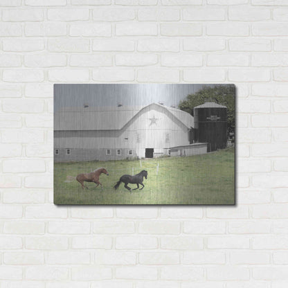 Luxe Metal Art 'Afternoon Run on the Farm' by Lori Deiter, Metal Wall Art,36x24