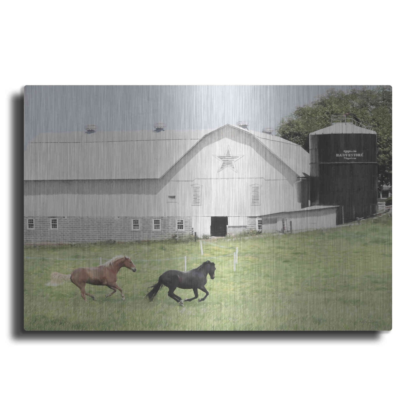 Luxe Metal Art 'Afternoon Run on the Farm' by Lori Deiter, Metal Wall Art