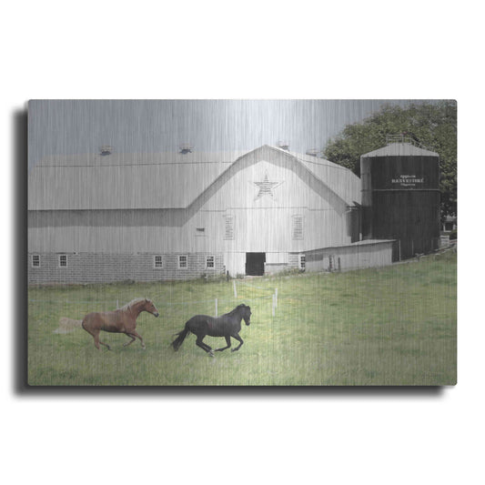Luxe Metal Art 'Afternoon Run on the Farm' by Lori Deiter, Metal Wall Art