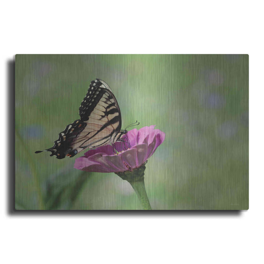 Luxe Metal Art 'Butterfly Resting Spot I' by Lori Deiter, Metal Wall Art