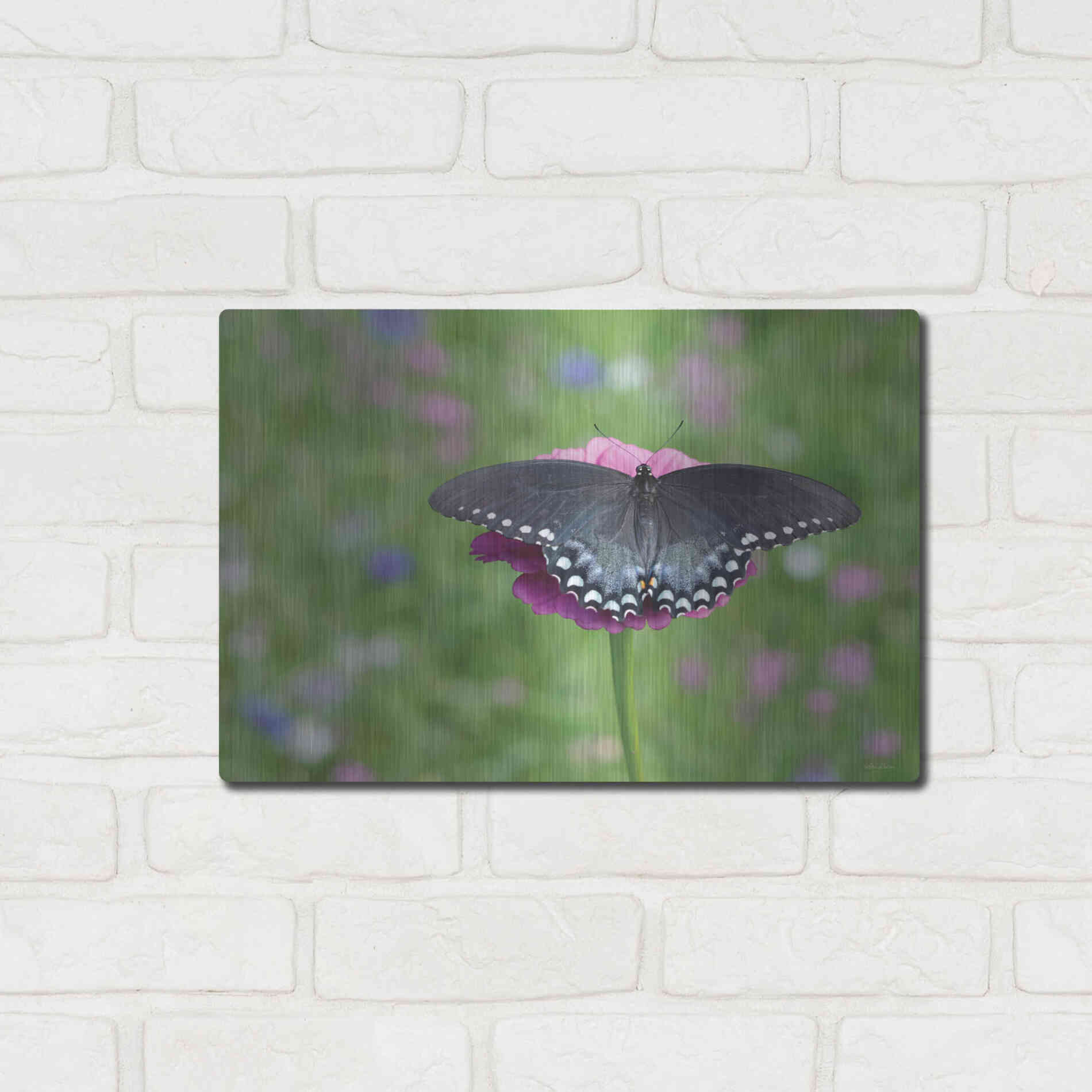 Luxe Metal Art 'Butterfly Resting Spot II' by Lori Deiter, Metal Wall Art,16x12