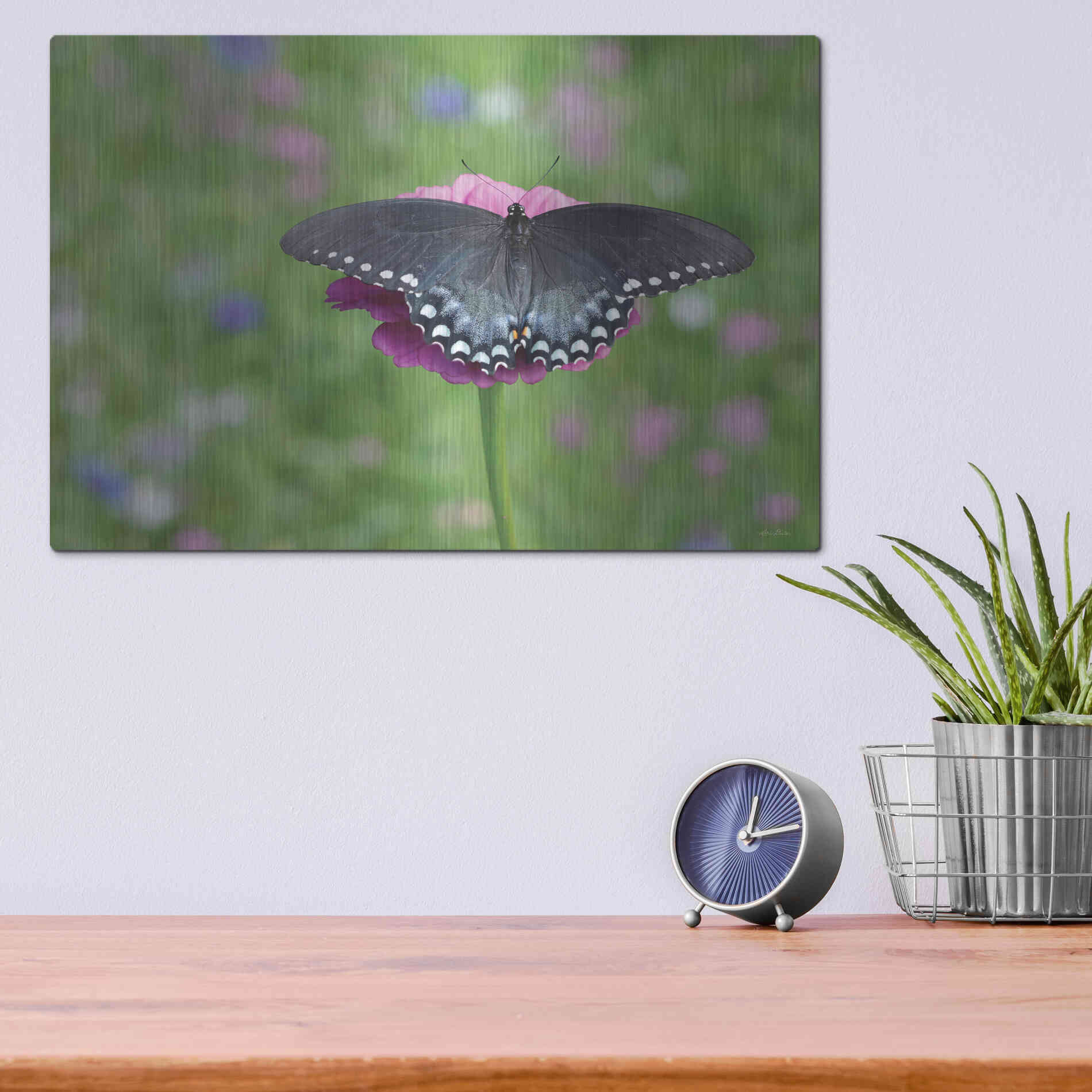 Luxe Metal Art 'Butterfly Resting Spot II' by Lori Deiter, Metal Wall Art,16x12