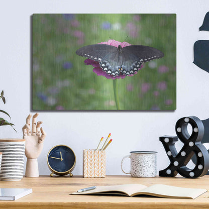 Luxe Metal Art 'Butterfly Resting Spot II' by Lori Deiter, Metal Wall Art,16x12