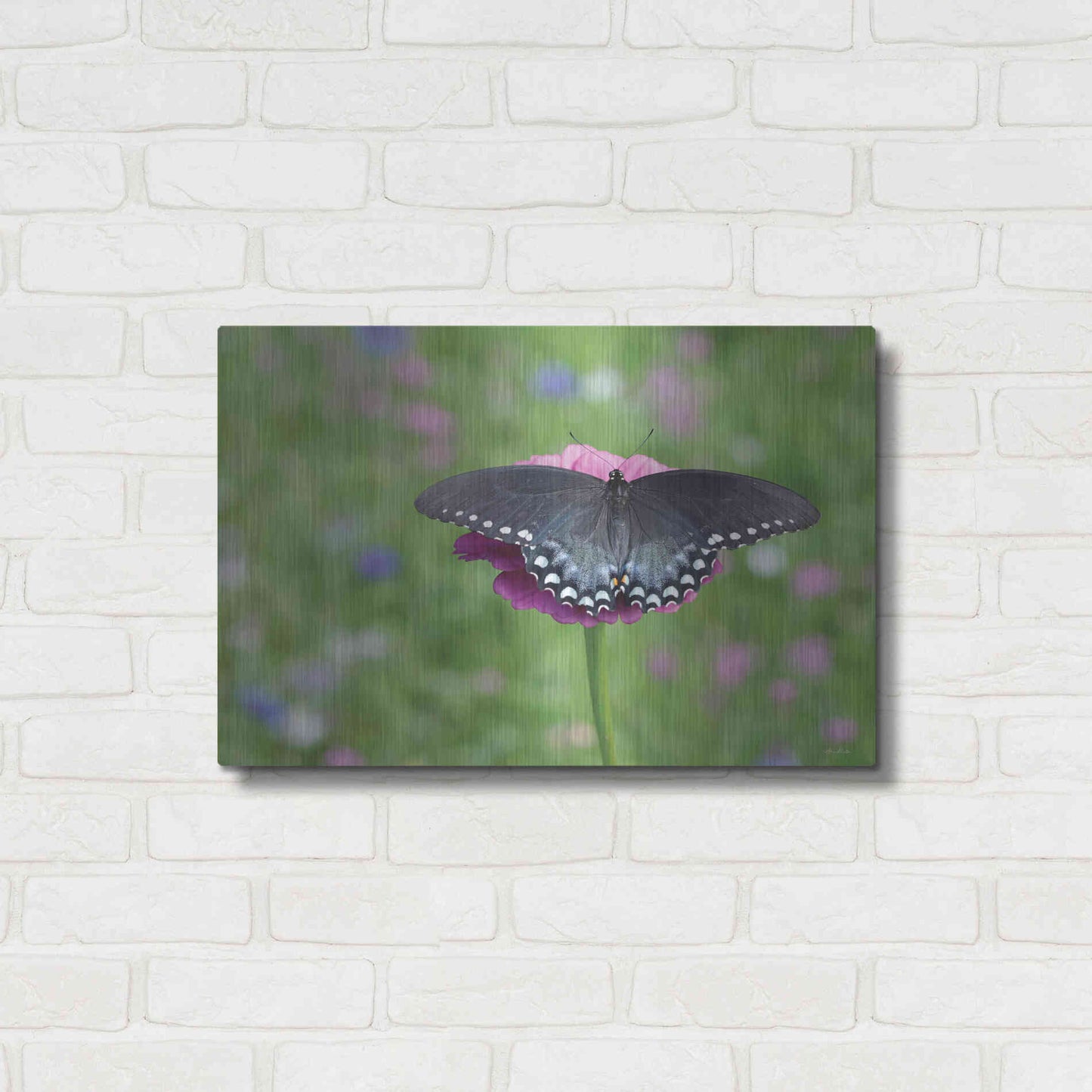 Luxe Metal Art 'Butterfly Resting Spot II' by Lori Deiter, Metal Wall Art,24x16