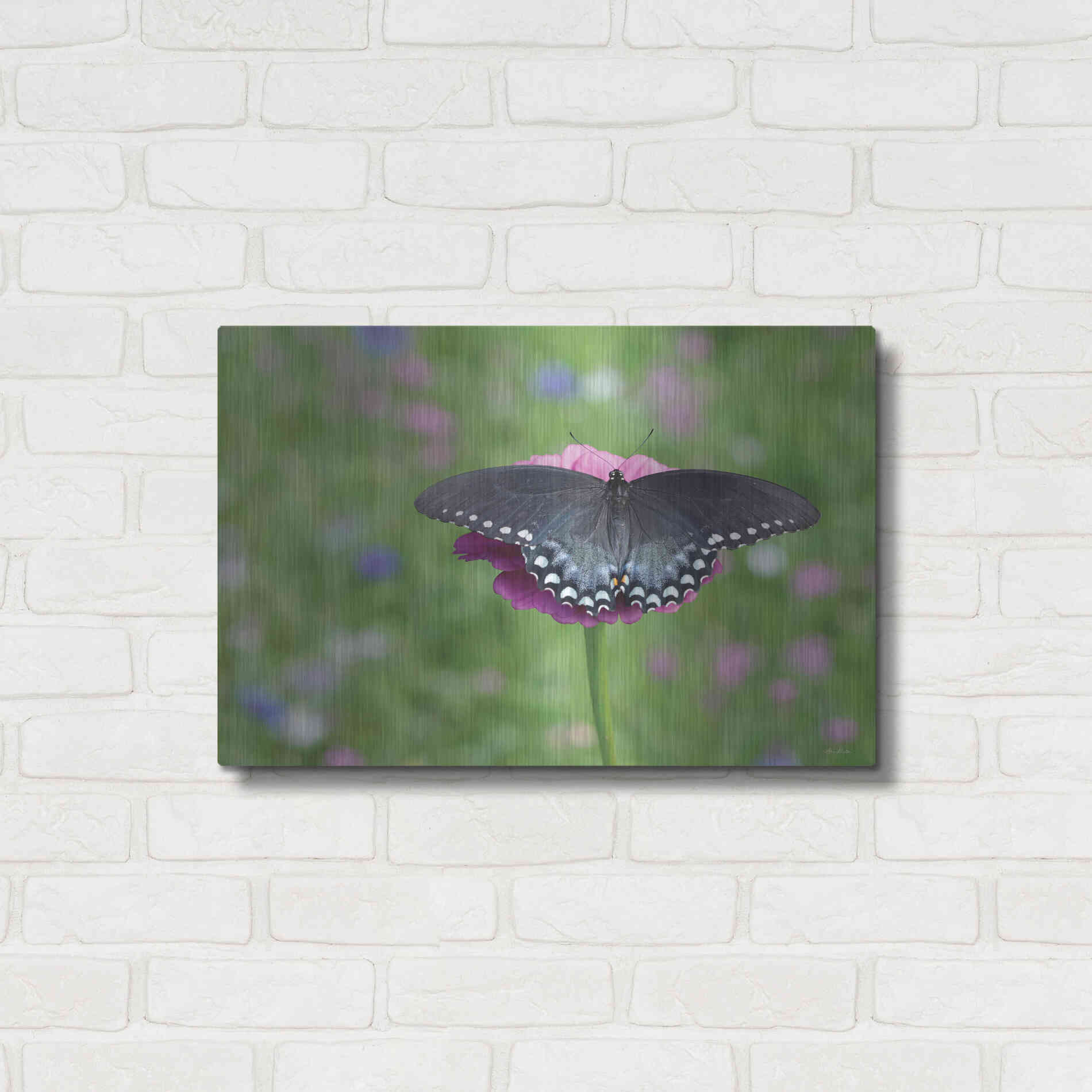 Luxe Metal Art 'Butterfly Resting Spot II' by Lori Deiter, Metal Wall Art,24x16