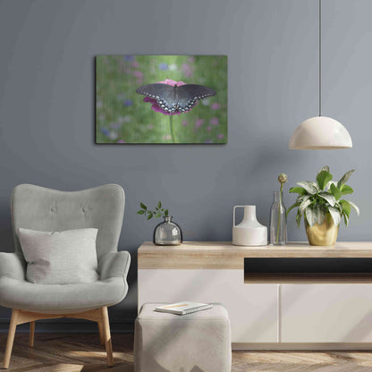 Luxe Metal Art 'Butterfly Resting Spot II' by Lori Deiter, Metal Wall Art,24x16