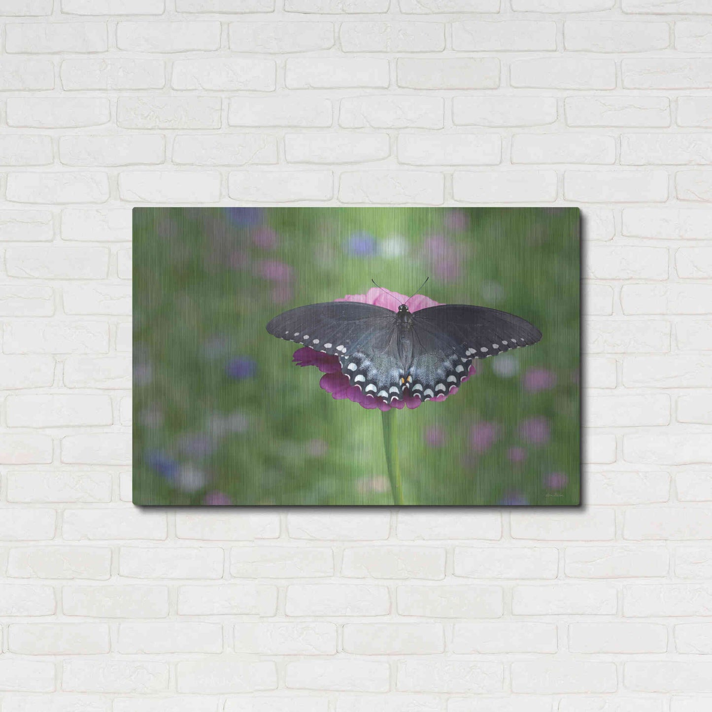 Luxe Metal Art 'Butterfly Resting Spot II' by Lori Deiter, Metal Wall Art,36x24
