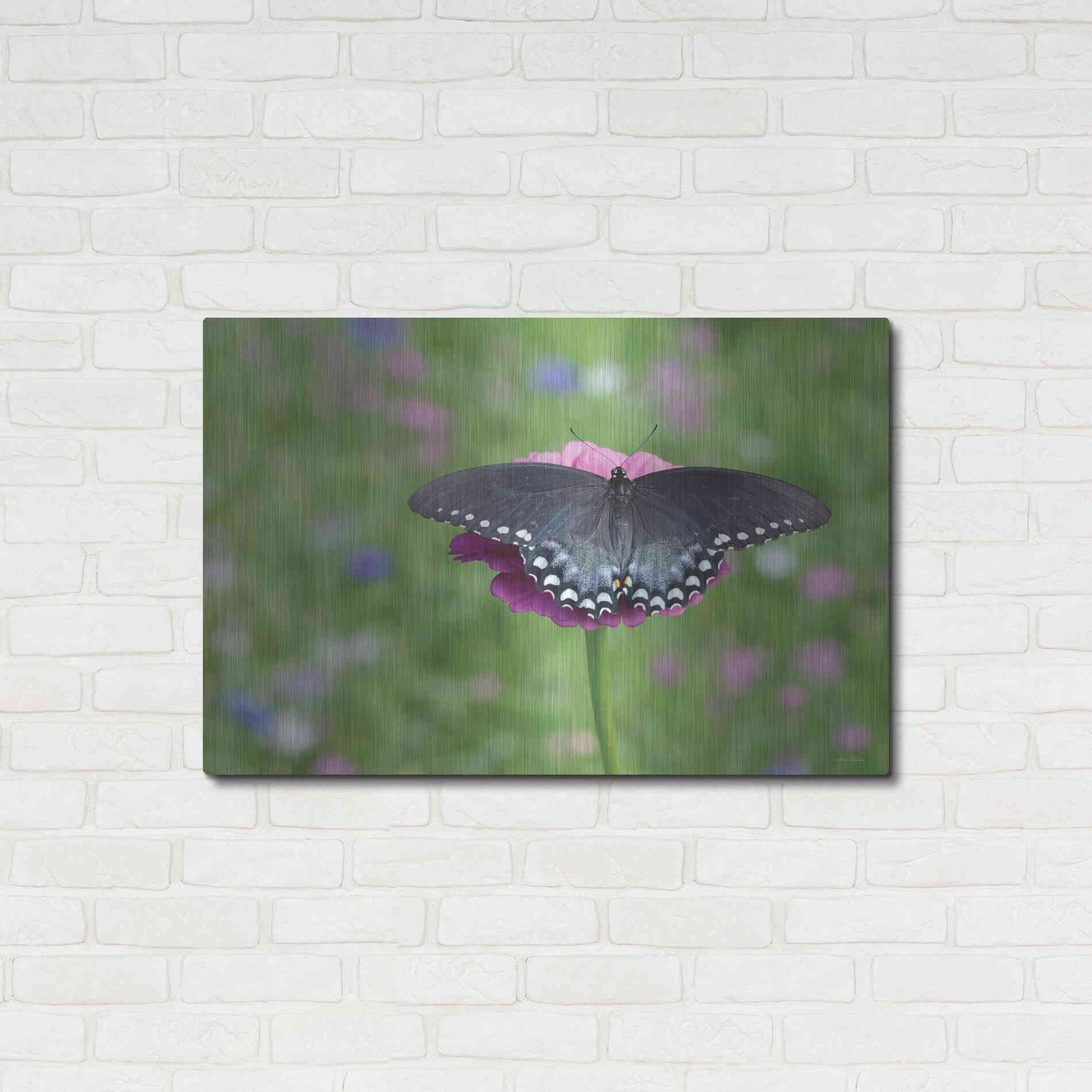 Luxe Metal Art 'Butterfly Resting Spot II' by Lori Deiter, Metal Wall Art,36x24