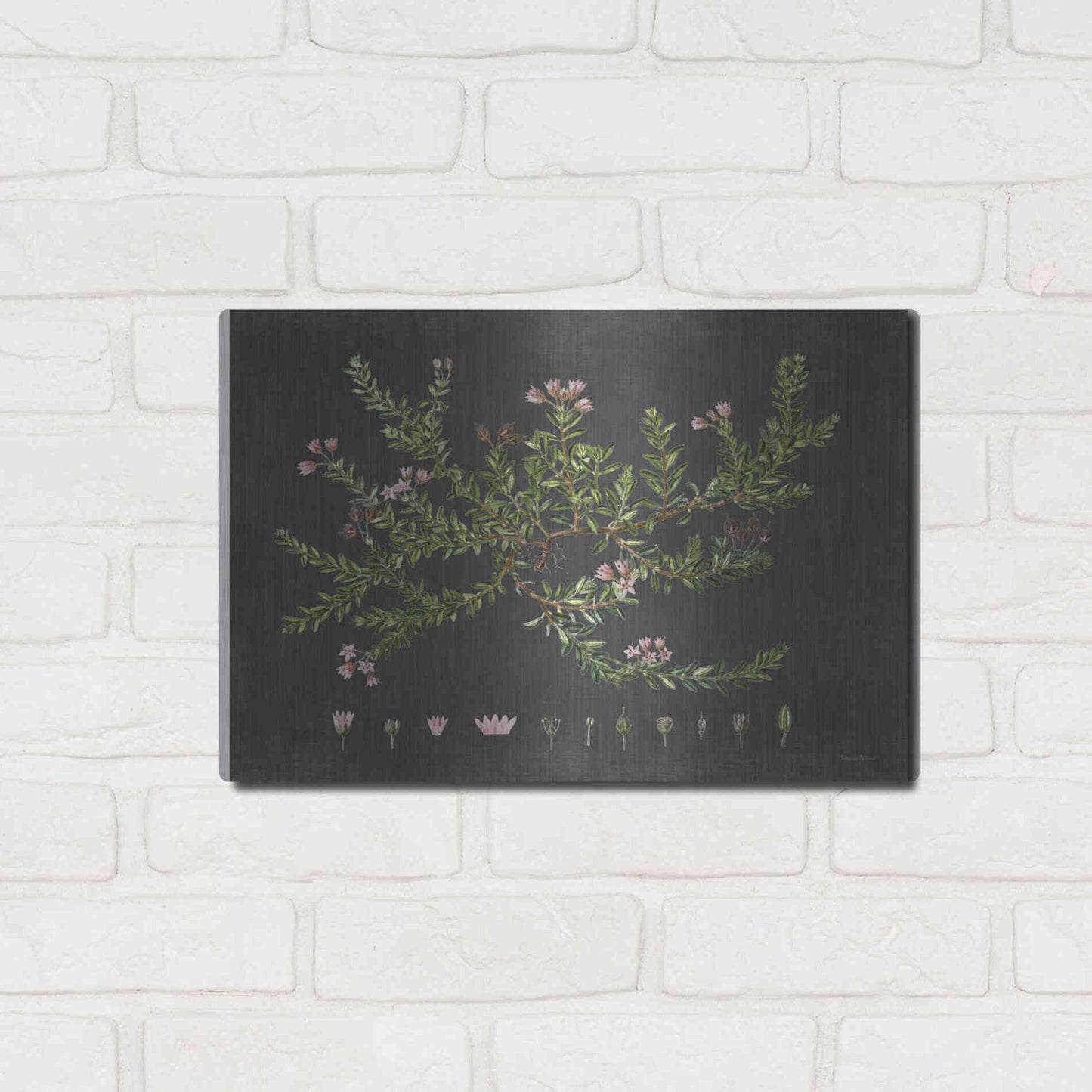 Luxe Metal Art 'Alpine Azalea' by Lettered & Lined, Metal Wall Art,16x12