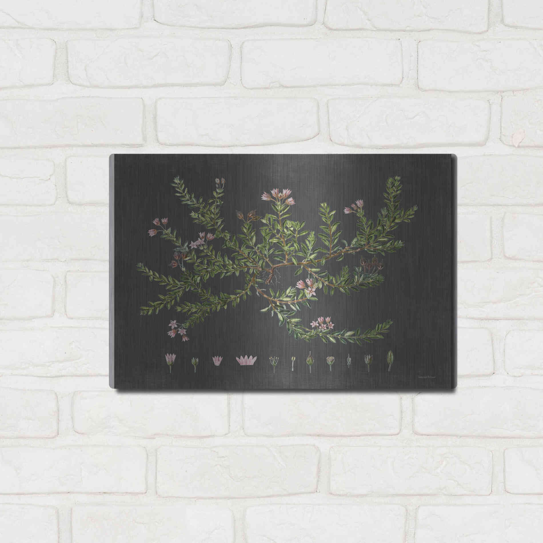 Luxe Metal Art 'Alpine Azalea' by Lettered & Lined, Metal Wall Art,16x12