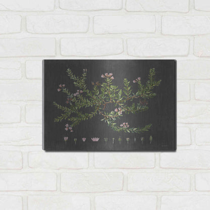 Luxe Metal Art 'Alpine Azalea' by Lettered & Lined, Metal Wall Art,16x12