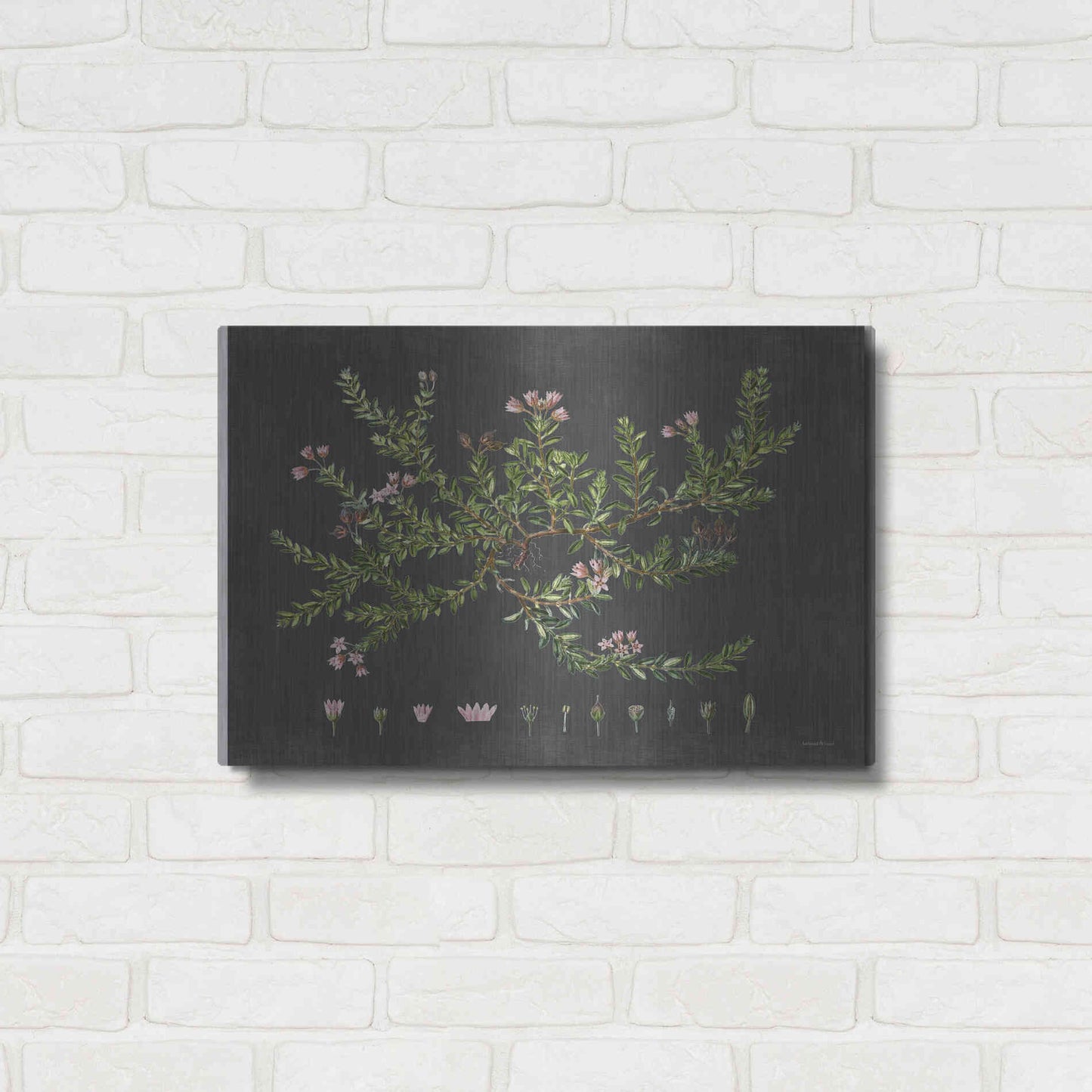 Luxe Metal Art 'Alpine Azalea' by Lettered & Lined, Metal Wall Art,24x16